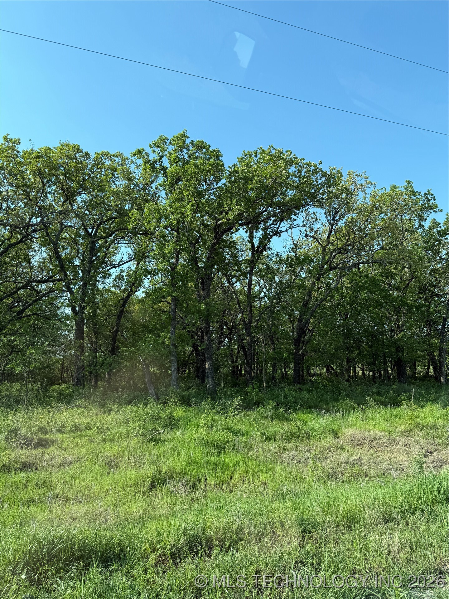 739 Maplewood Property Photo 1