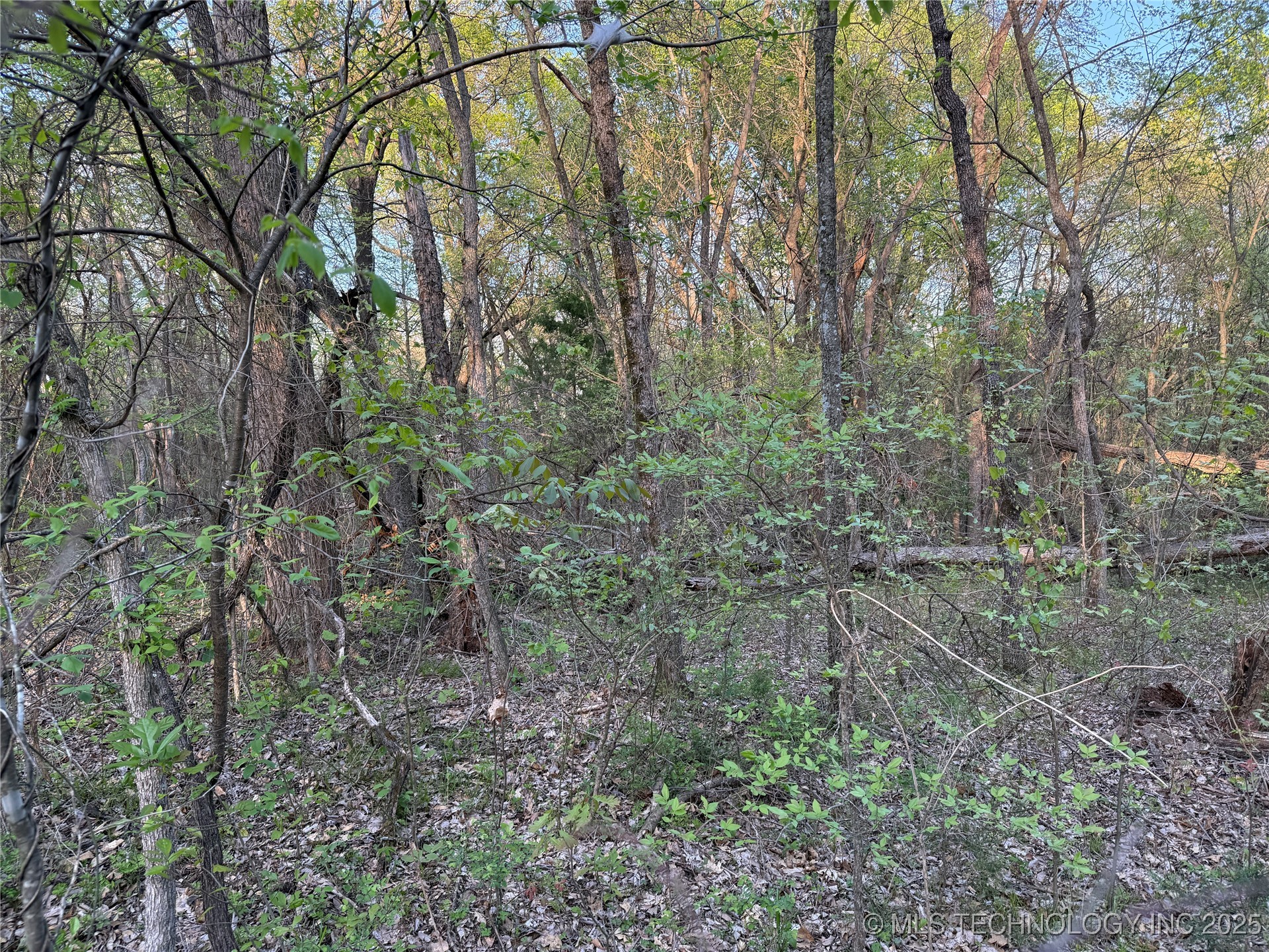 20 E Lakeview Road Property Photo 17