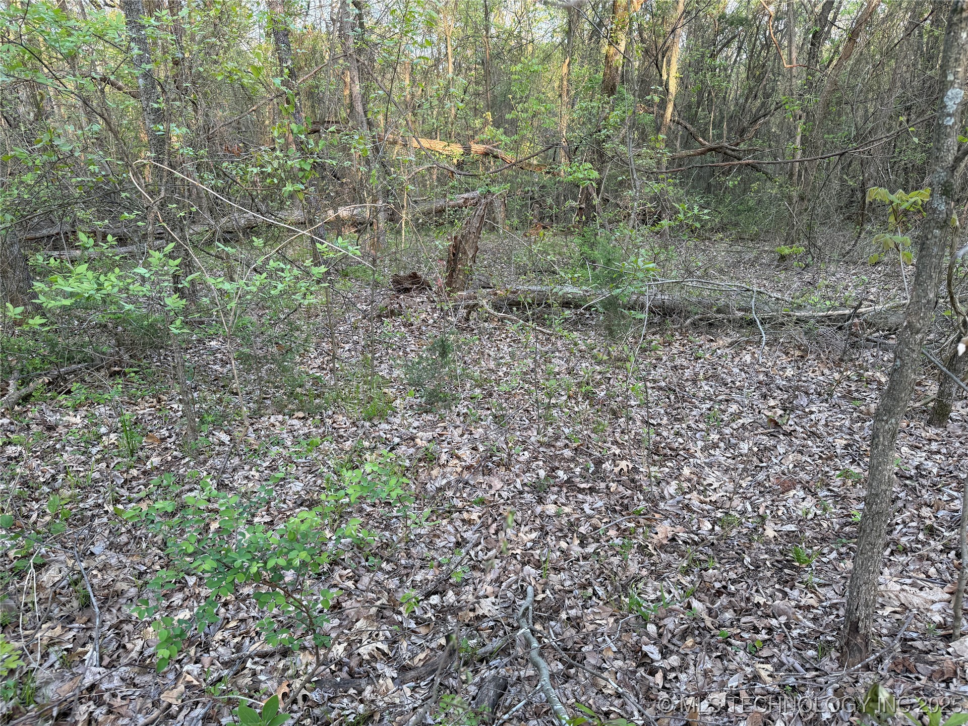 20 E Lakeview Road Property Photo 18