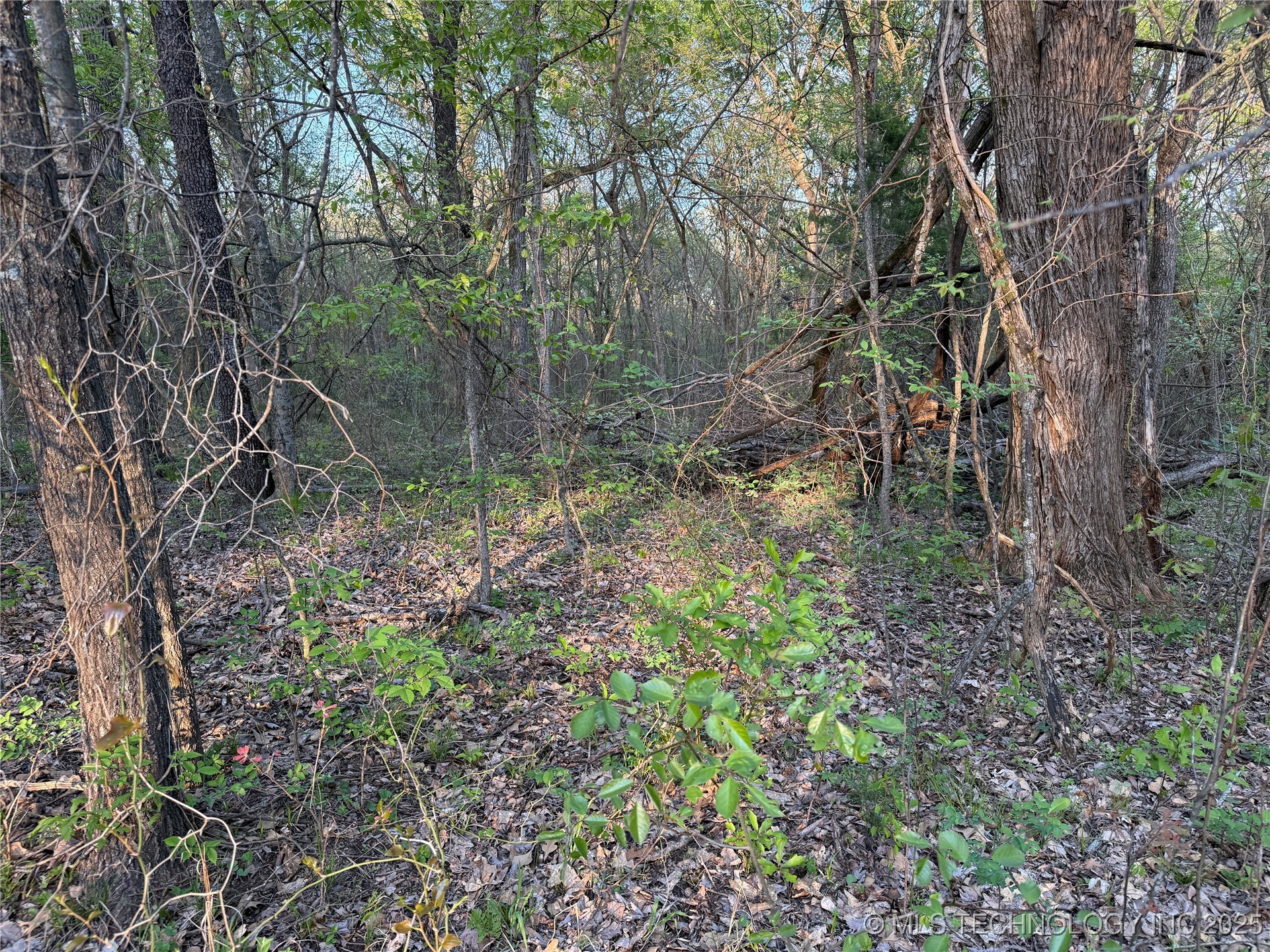 20 E Lakeview Road Property Photo 19