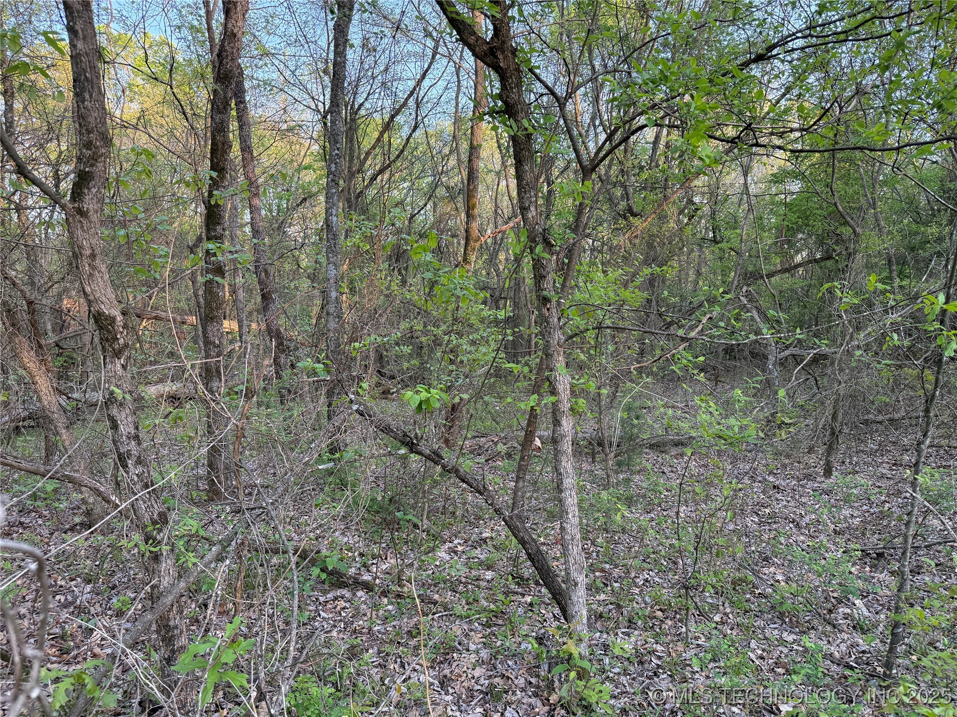 20 E Lakeview Road Property Photo 20