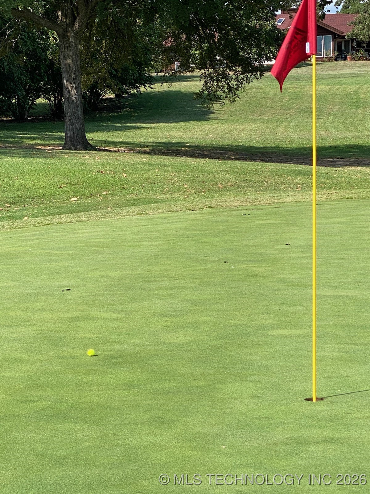 Redbud Property Photo 5