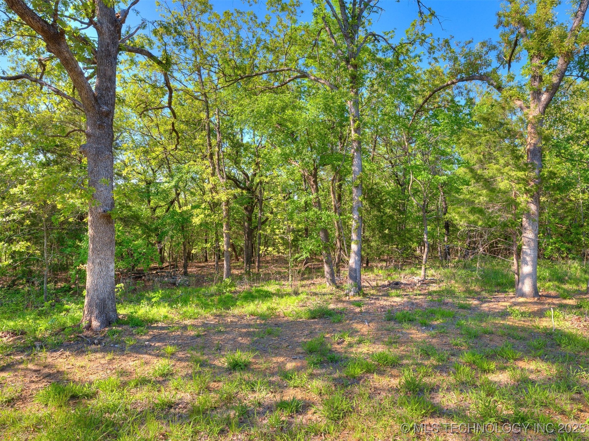 228 Patriot Pointe Property Photo 7