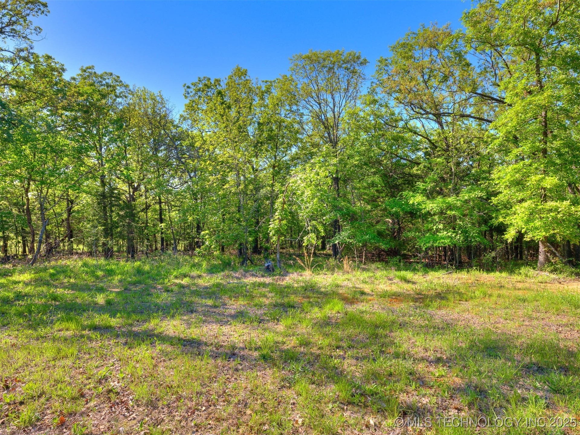 228 Patriot Pointe Property Photo 8