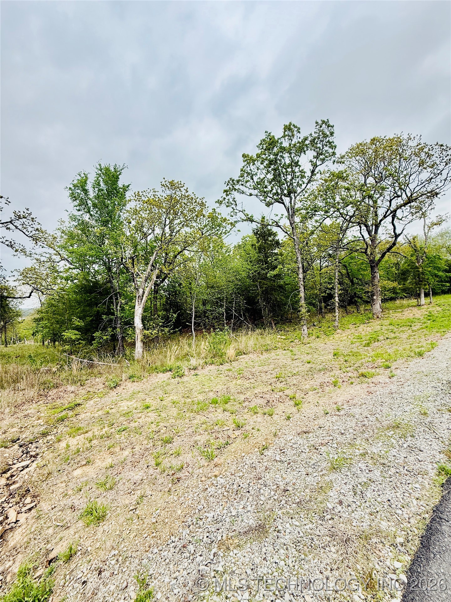 228 Patriot Pointe Property Photo 9