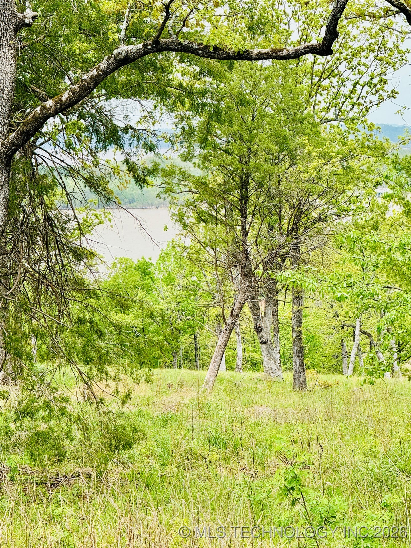 228 Patriot Pointe Property Photo 10