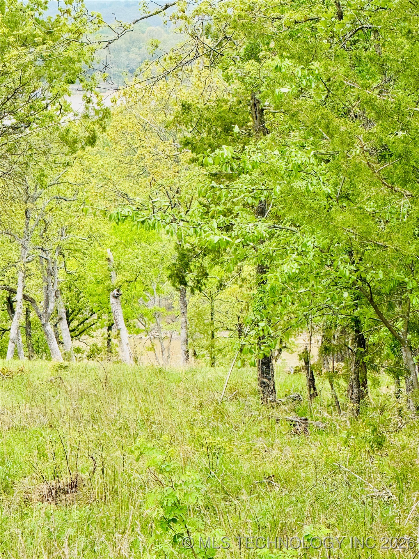 228 Patriot Pointe Property Photo 11