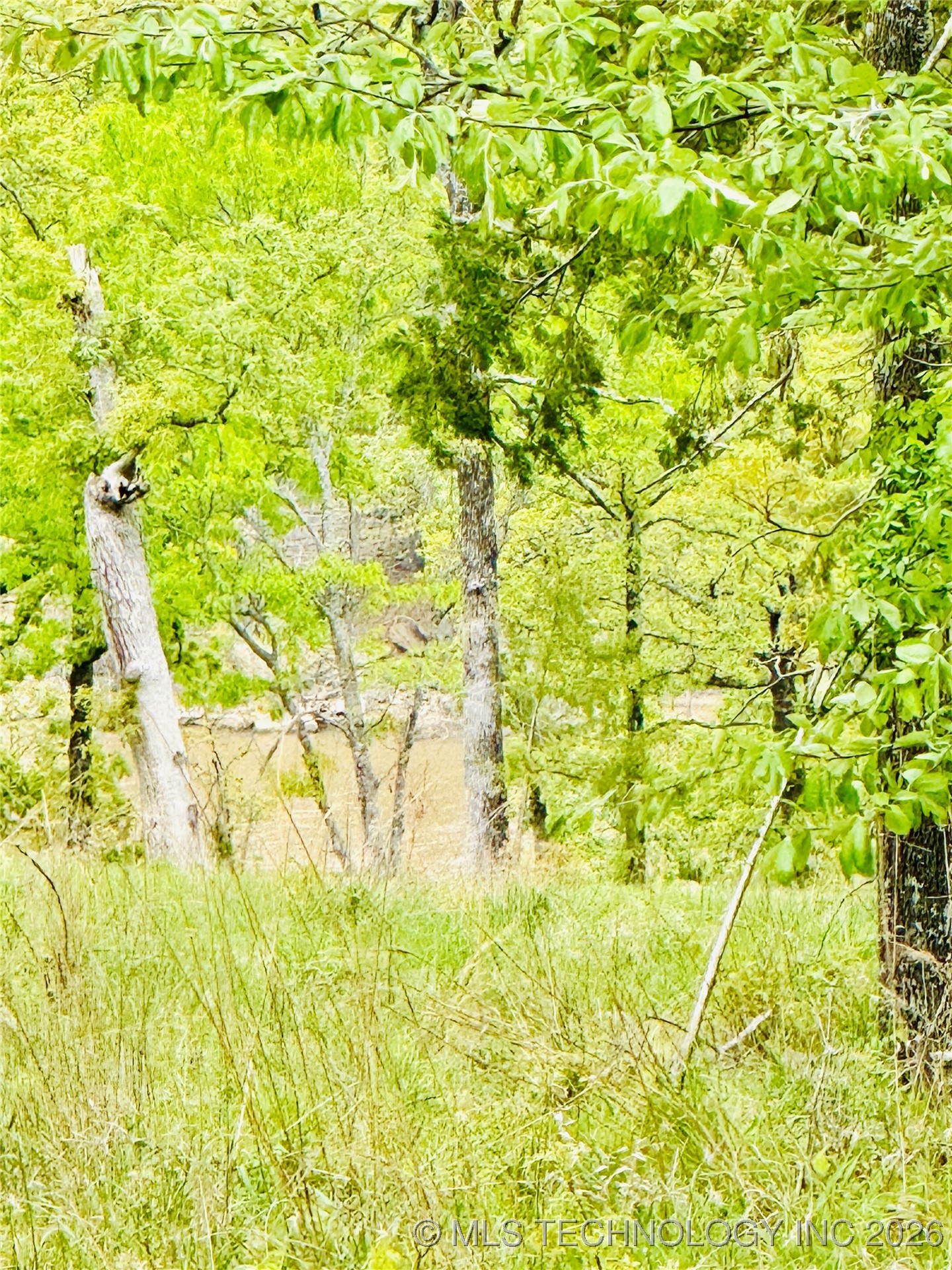 228 Patriot Pointe Property Photo 12