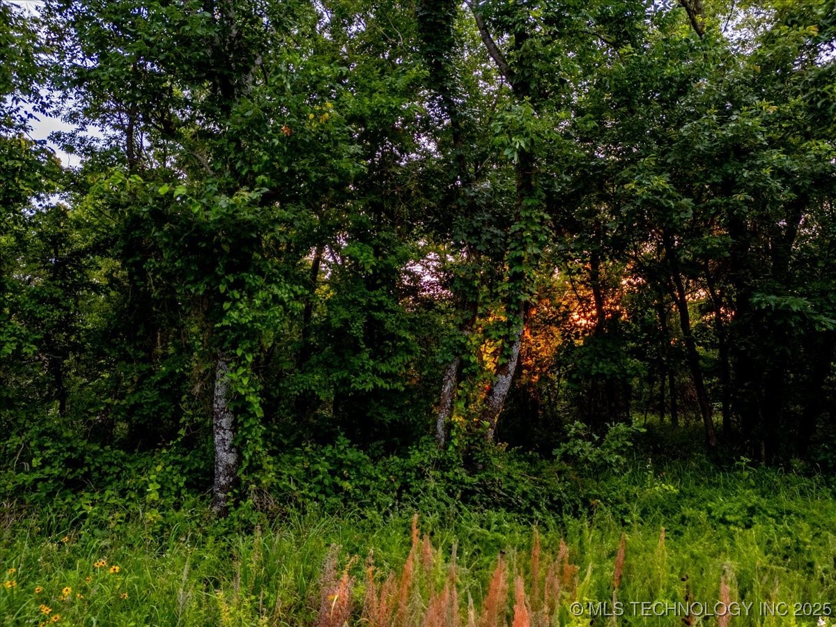 1 E Davis Field Road Property Photo 6