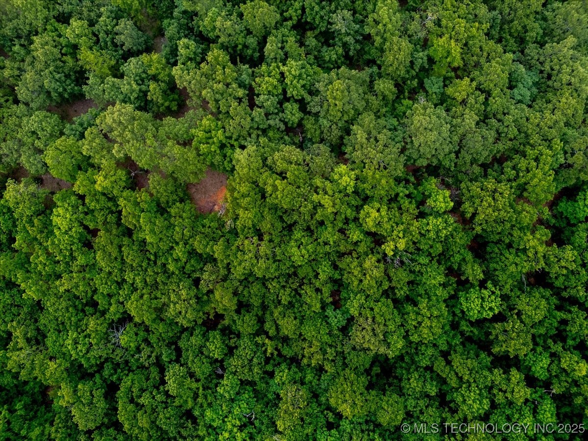 1 E Davis Field Road Property Photo 19