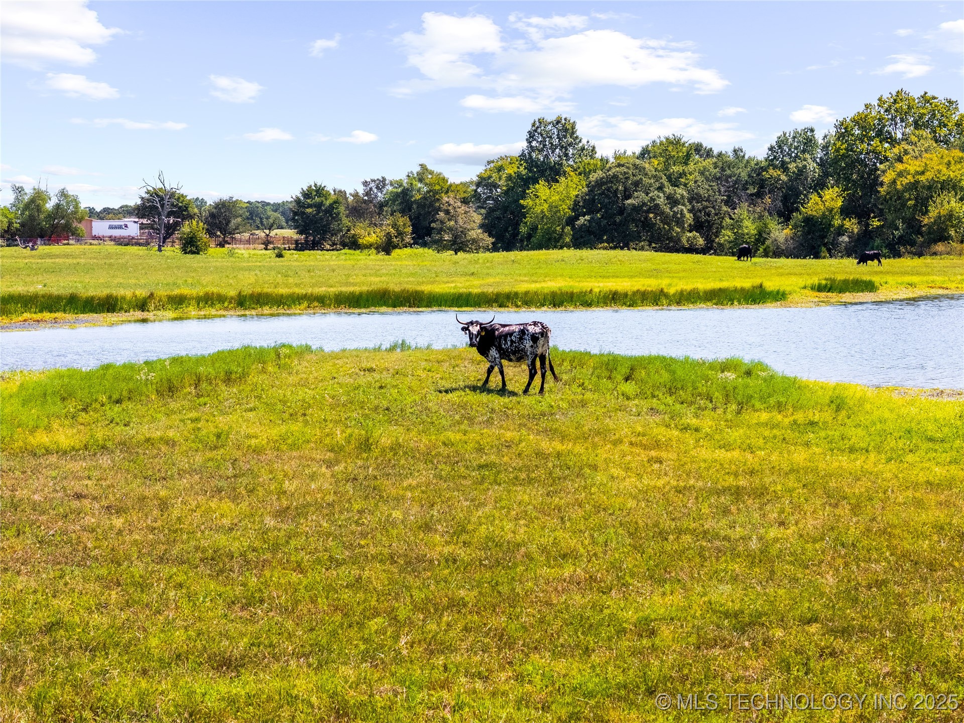 8 Wild Rose Road Property Photo 14