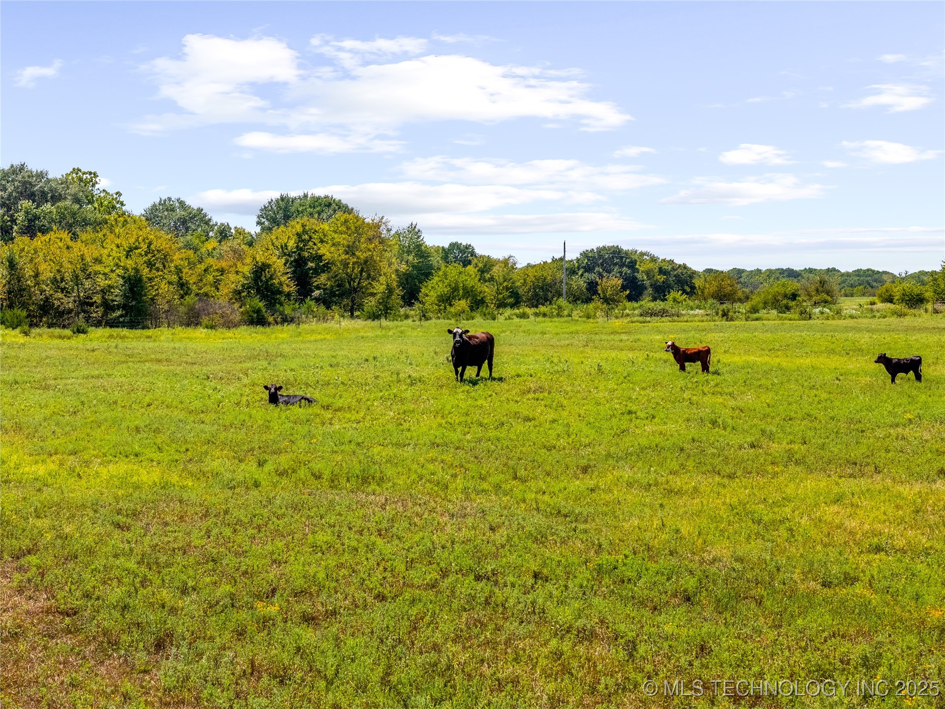 8 Wild Rose Road Property Photo 15