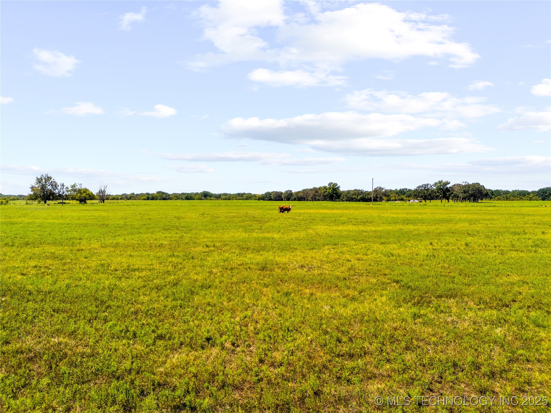 8 Wild Rose Road Property Photo 16