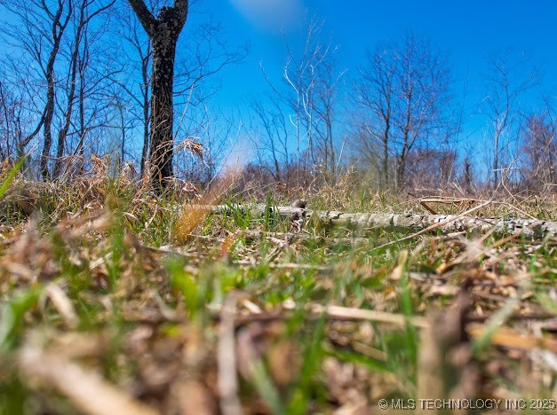 1 Hwy 266 Property Photo 21