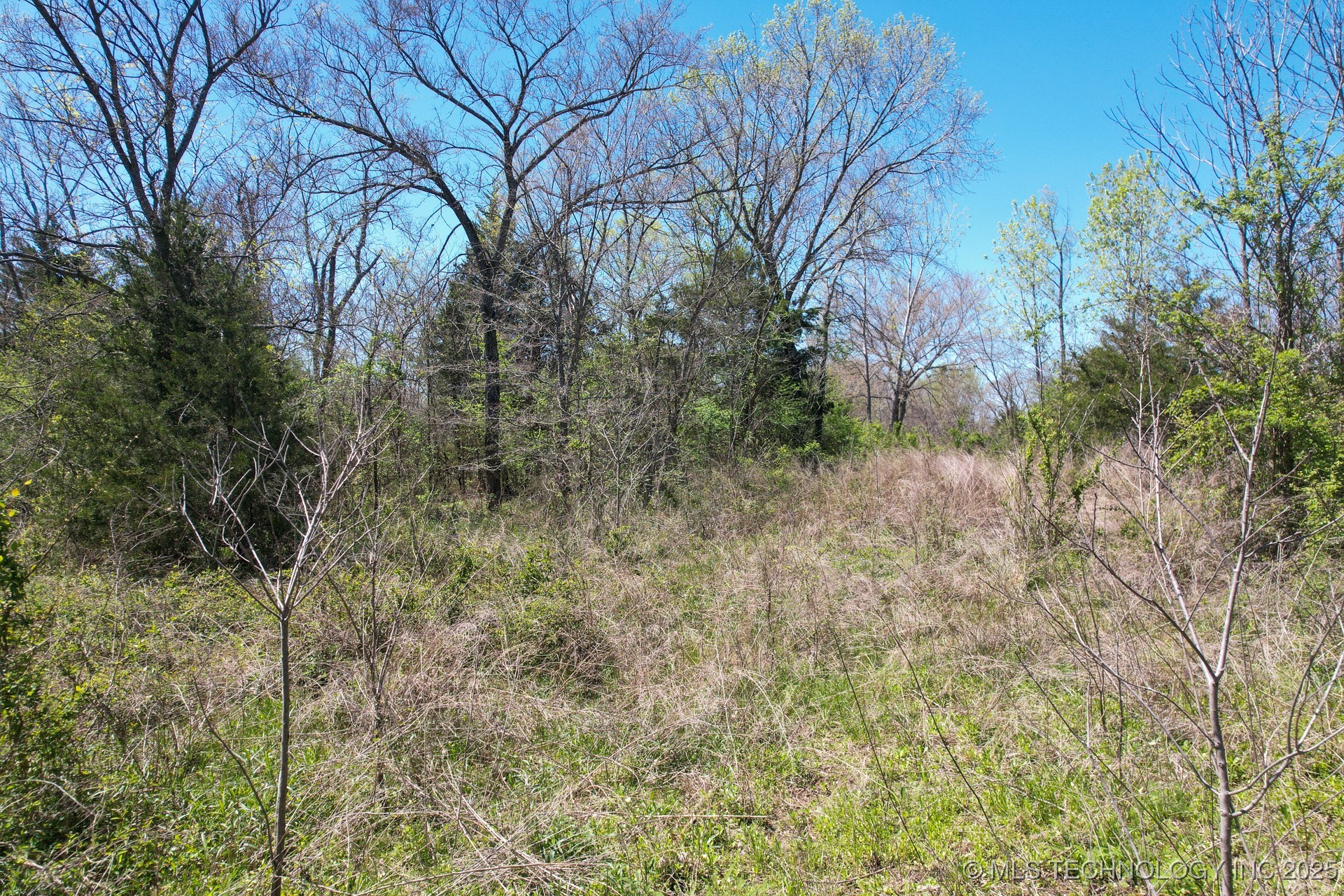 39 Hwy 125 Property Photo 8