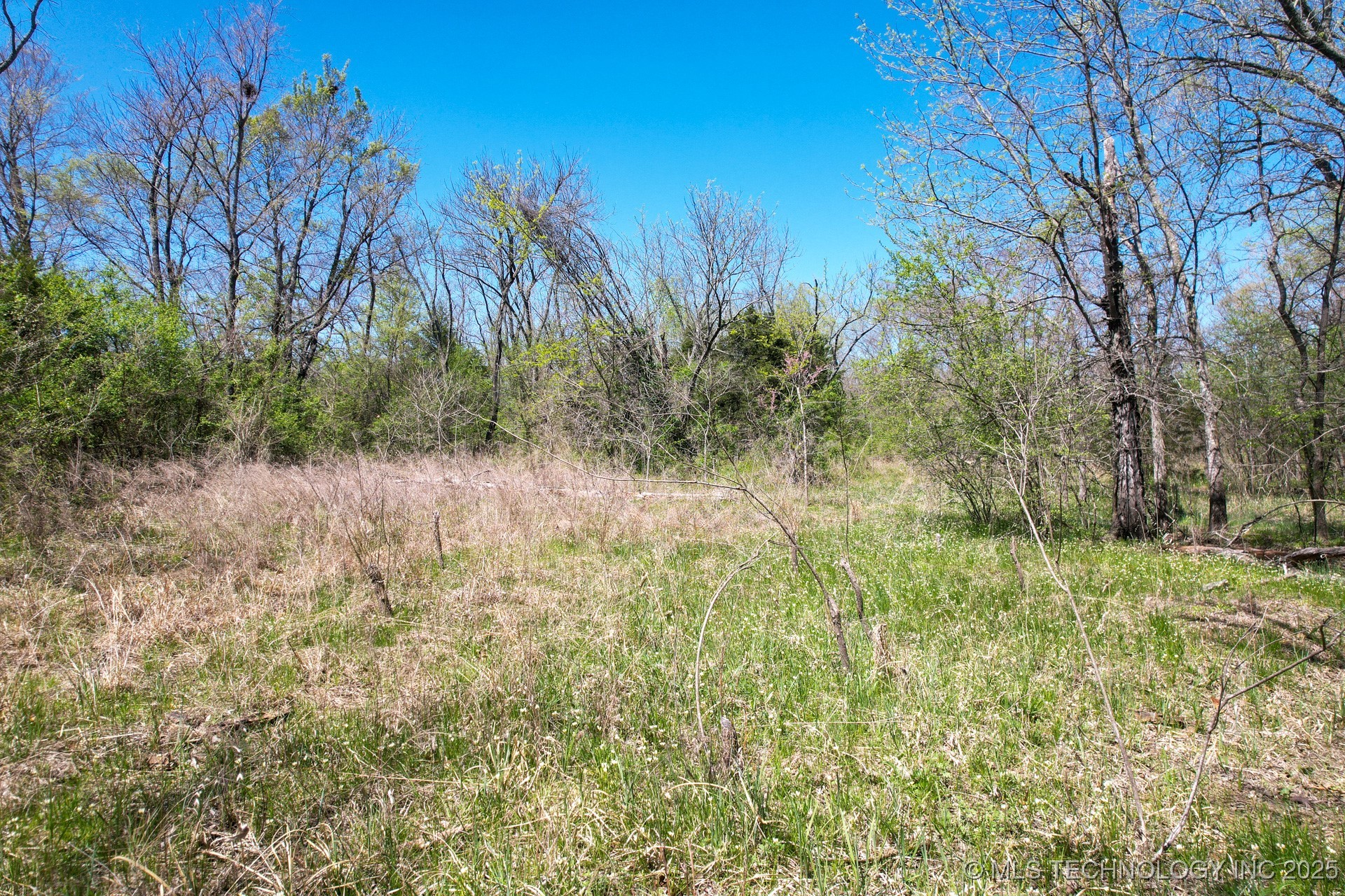 39 Hwy 125 Property Photo 12