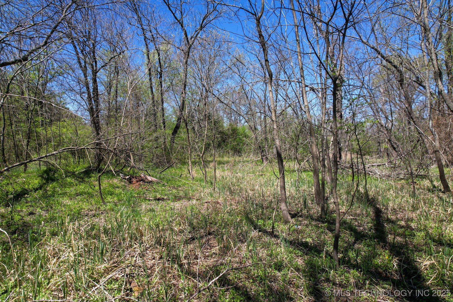 38 Hwy 125 Property Photo 10