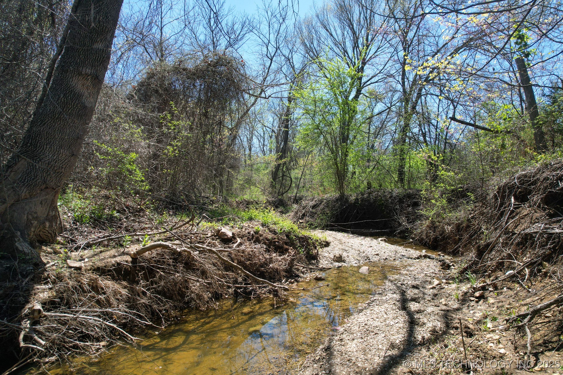 38 Hwy 125 Property Photo 11