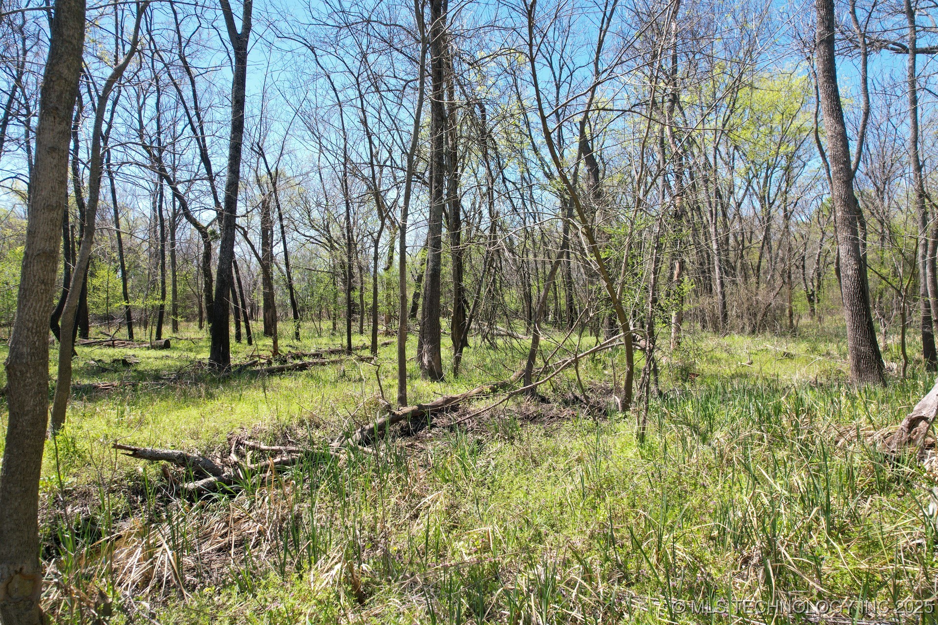 37 Hwy 125 Property Photo 9