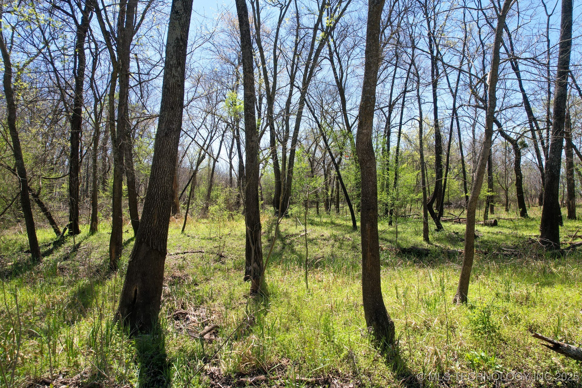 37 Hwy 125 Property Photo 12