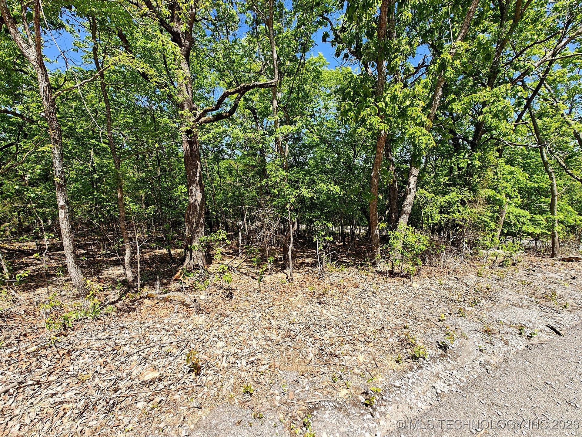 18880 W Sugar Mountain Road Property Photo 9