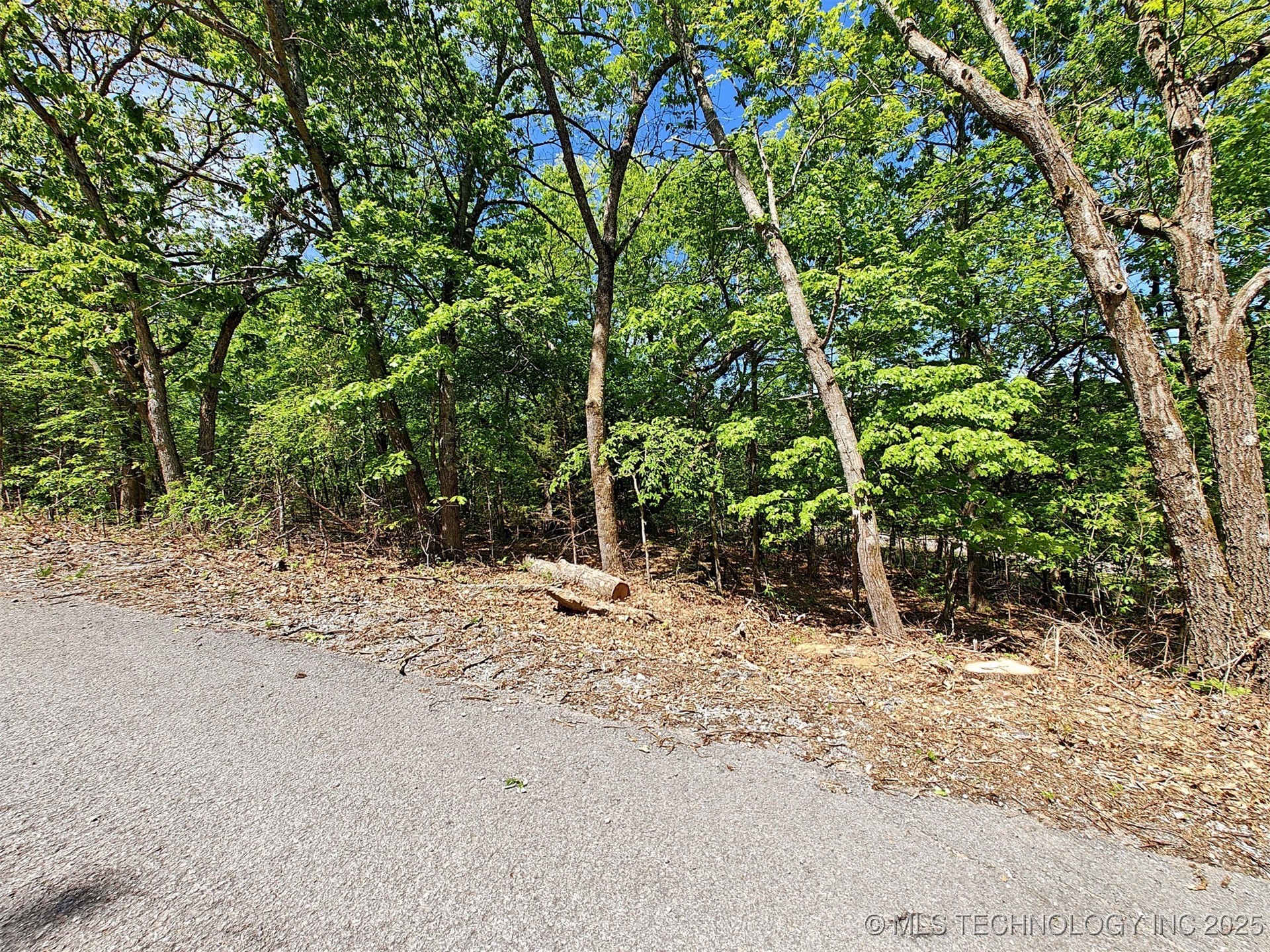 18880 W Sugar Mountain Road Property Photo 10