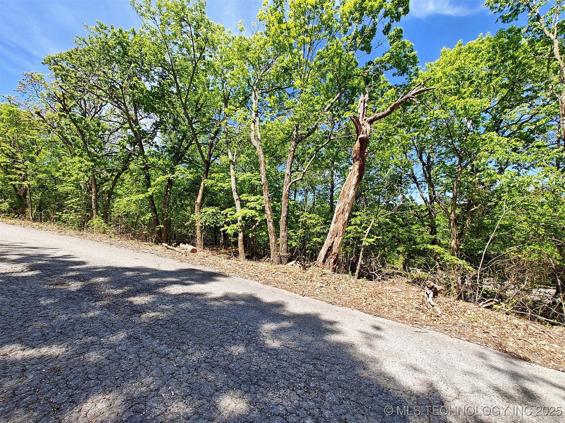 18880 W Sugar Mountain Road Property Photo 11