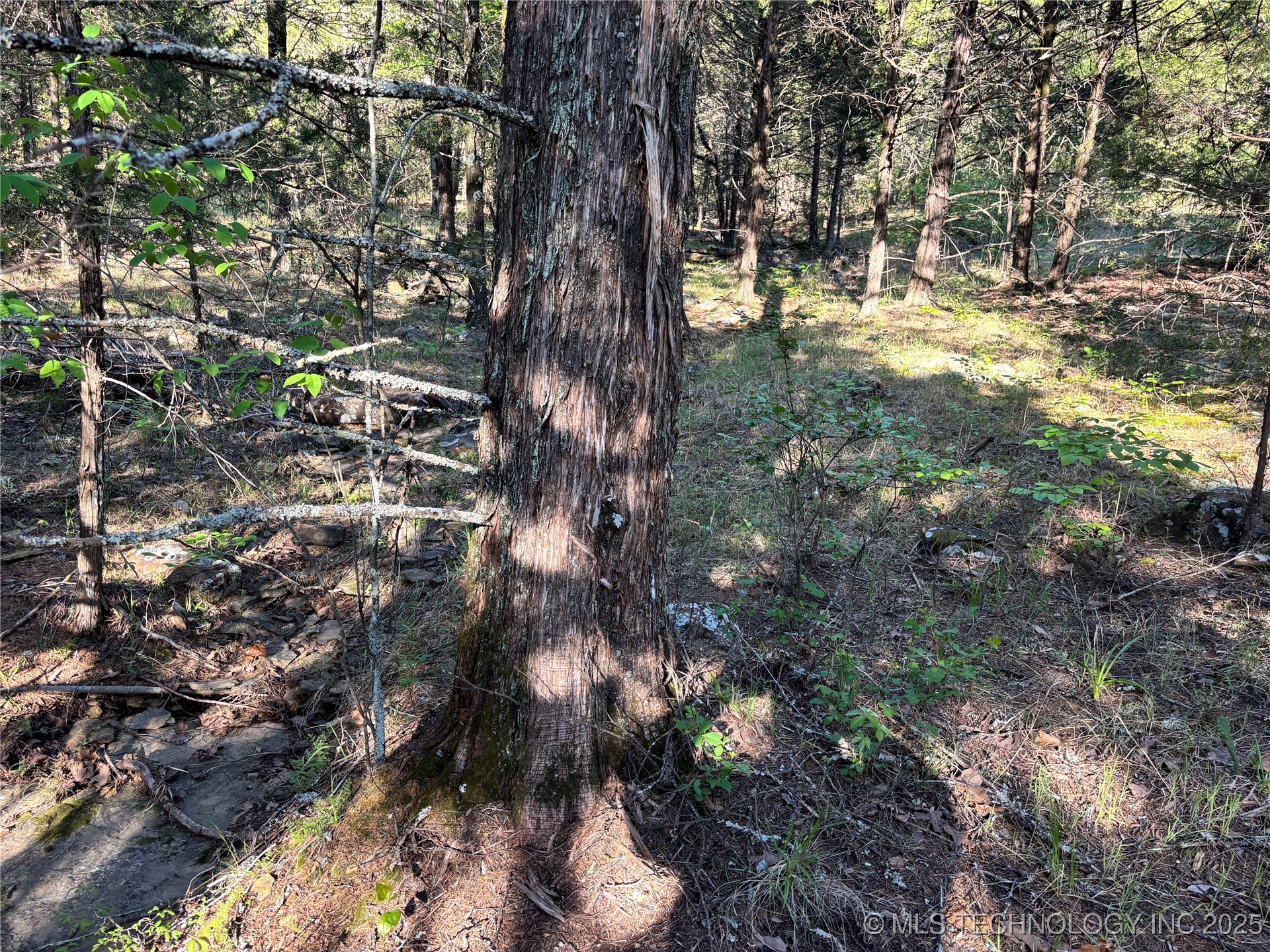 100752 S 4497 Road Property Photo 5