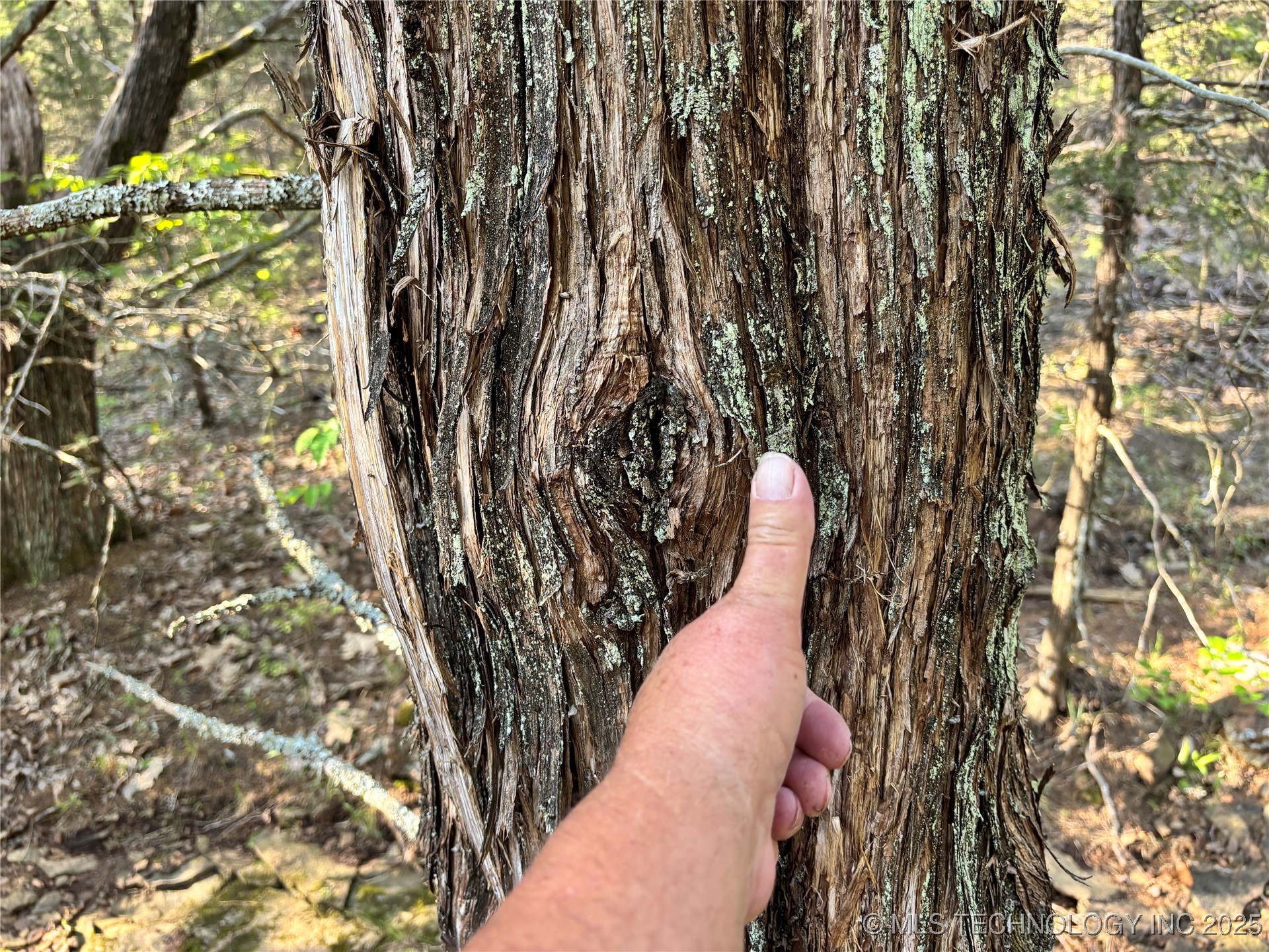 100752 S 4497 Road Property Photo 9