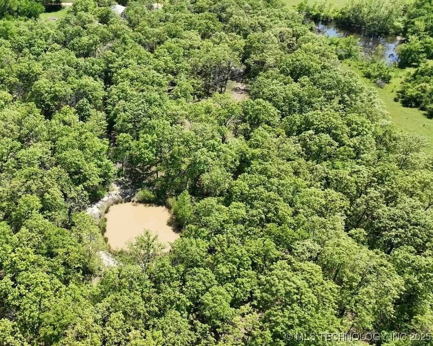 220 Wild Rose Road Property Photo 21