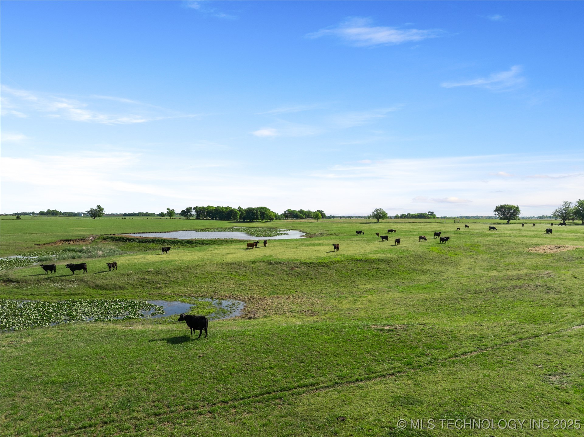 12785 N 280 Road Property Photo 53