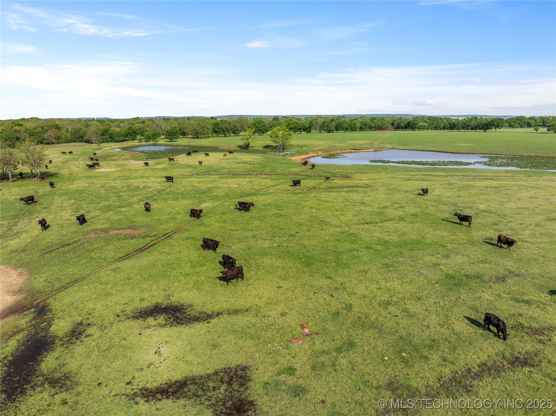 12785 N 280 Road Property Photo 59