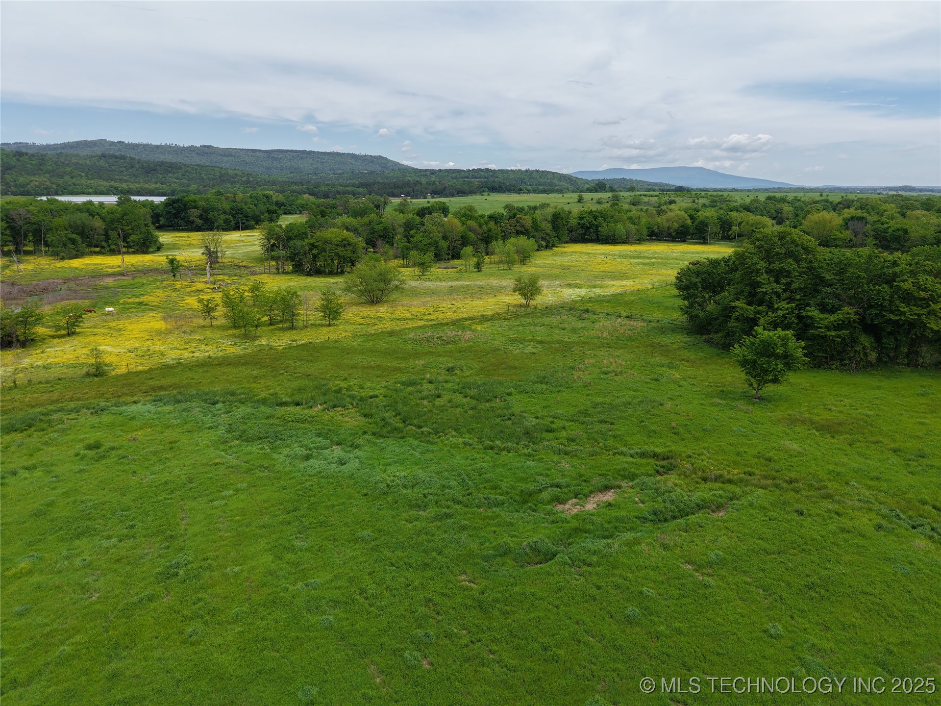 36757 Petetree Property Photo 12