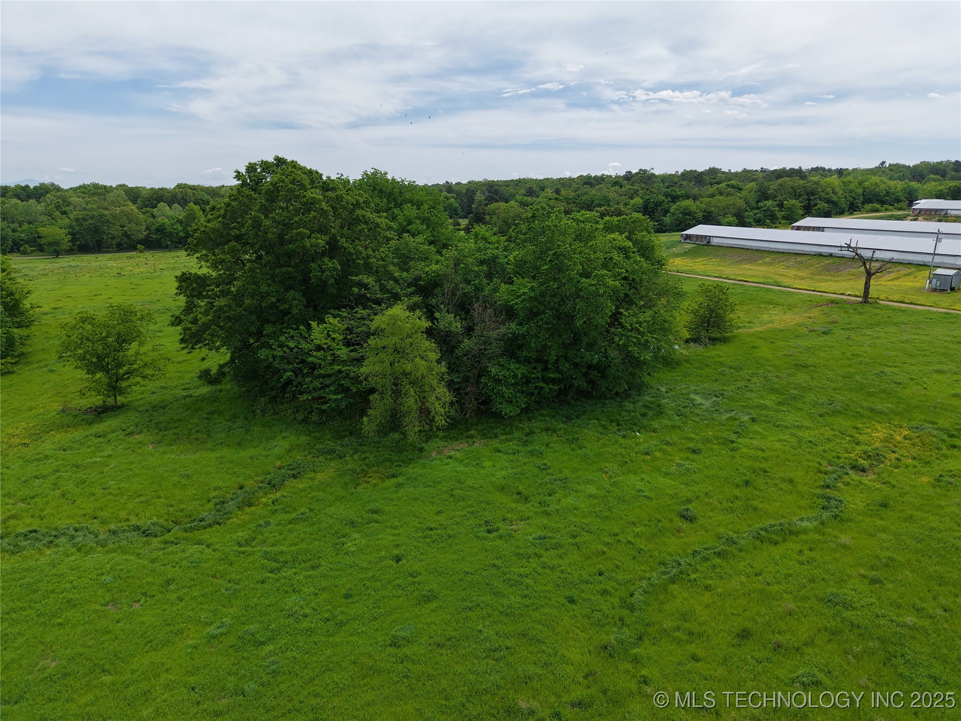 36757 Petetree Property Photo 13