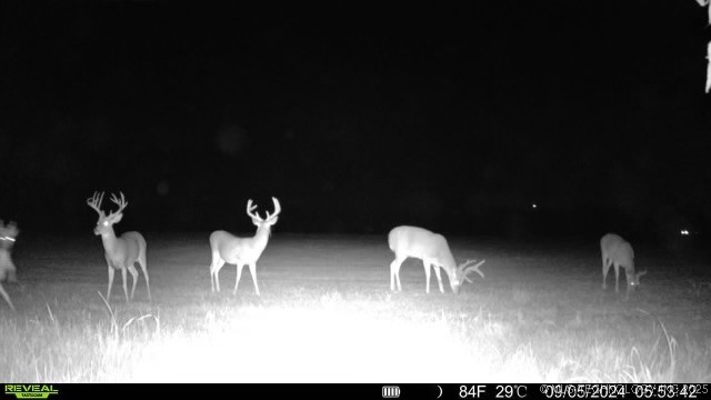 8 N Lenapah Street Property Photo 15