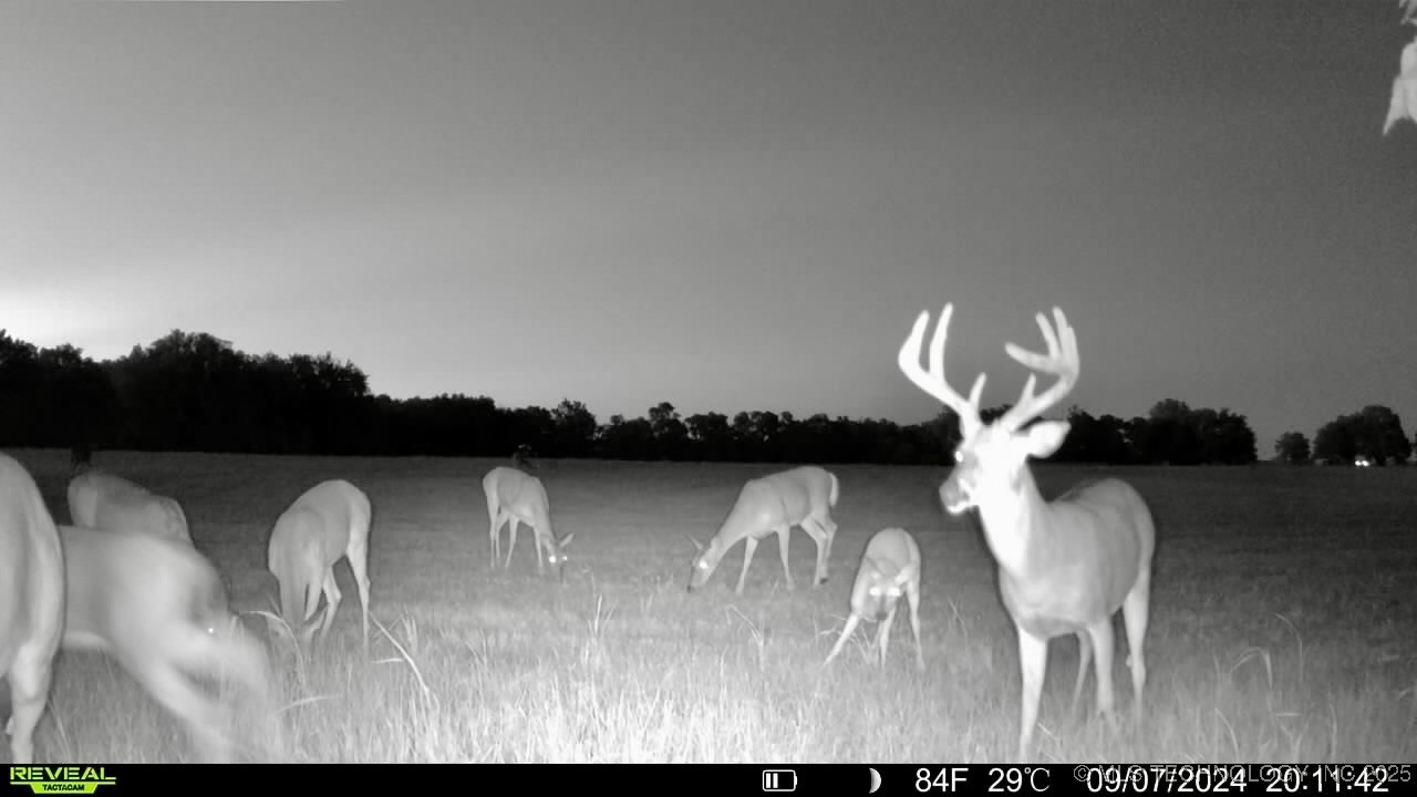 8 N Lenapah Street Property Photo 16