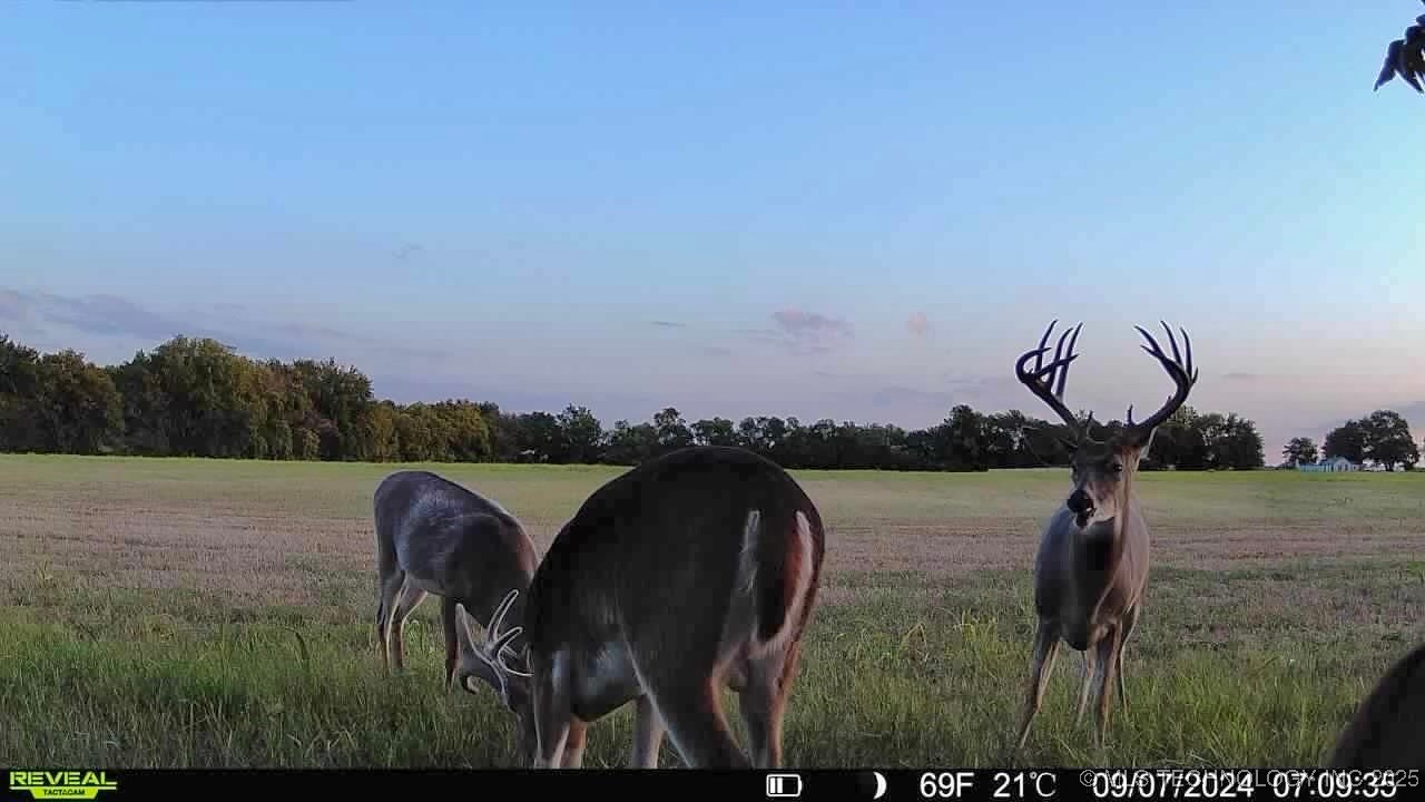 8 N Lenapah Street Property Photo 17