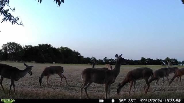 8 N Lenapah Street Property Photo 18