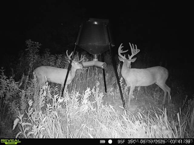 8 N Lenapah Street Property Photo 20