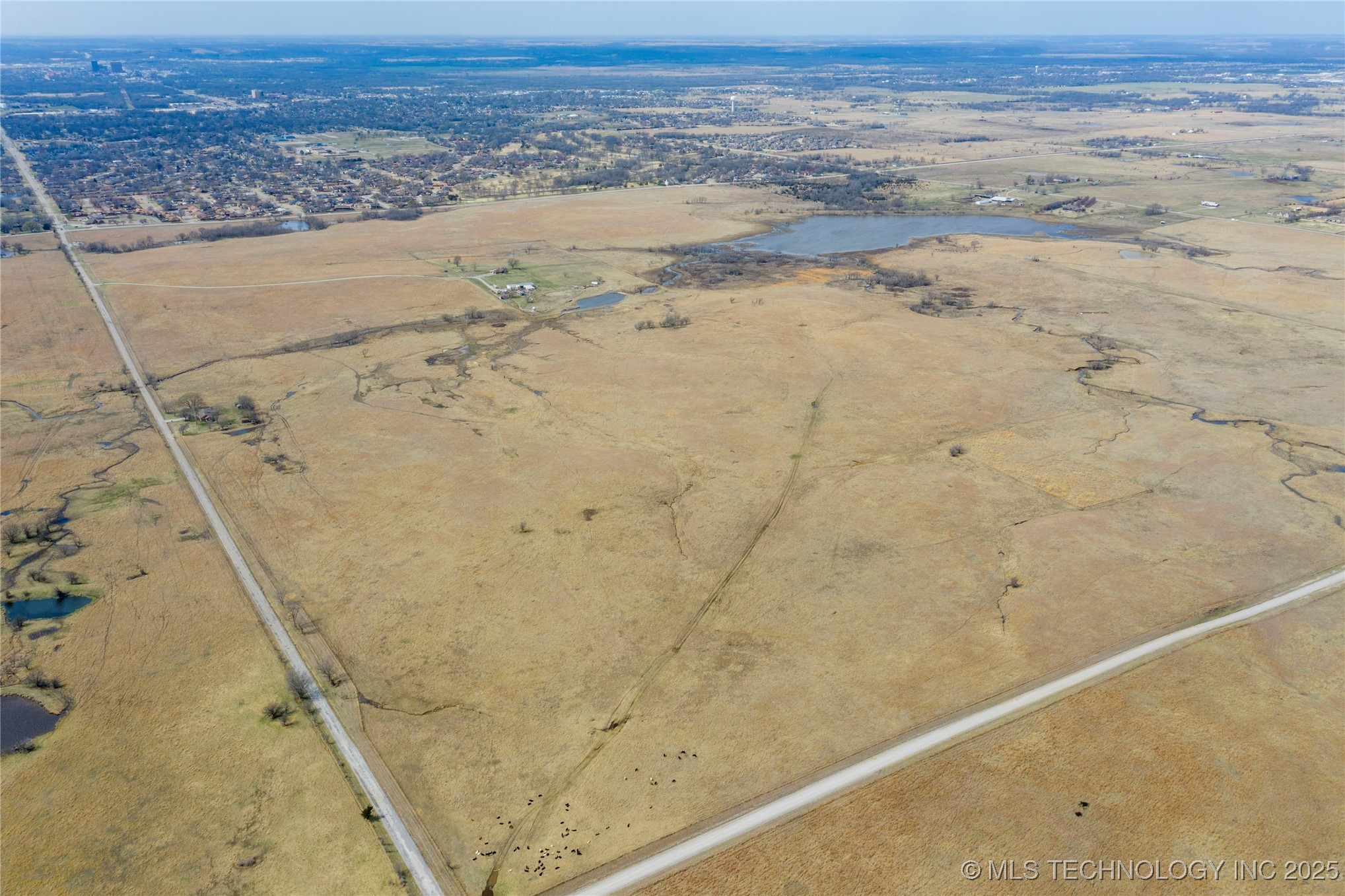 Bison Road Property Photo 19