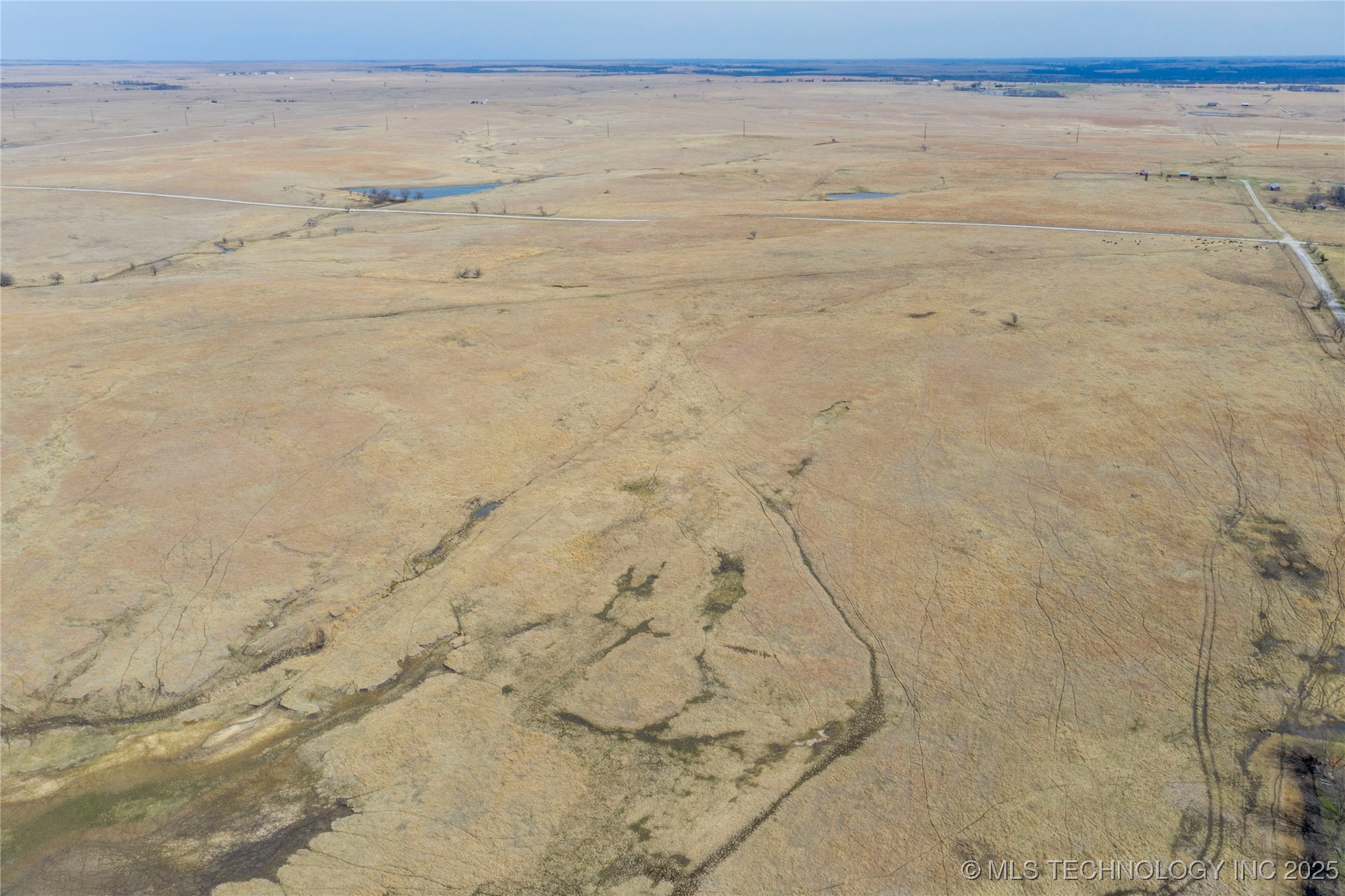 Bison Road Property Photo 23