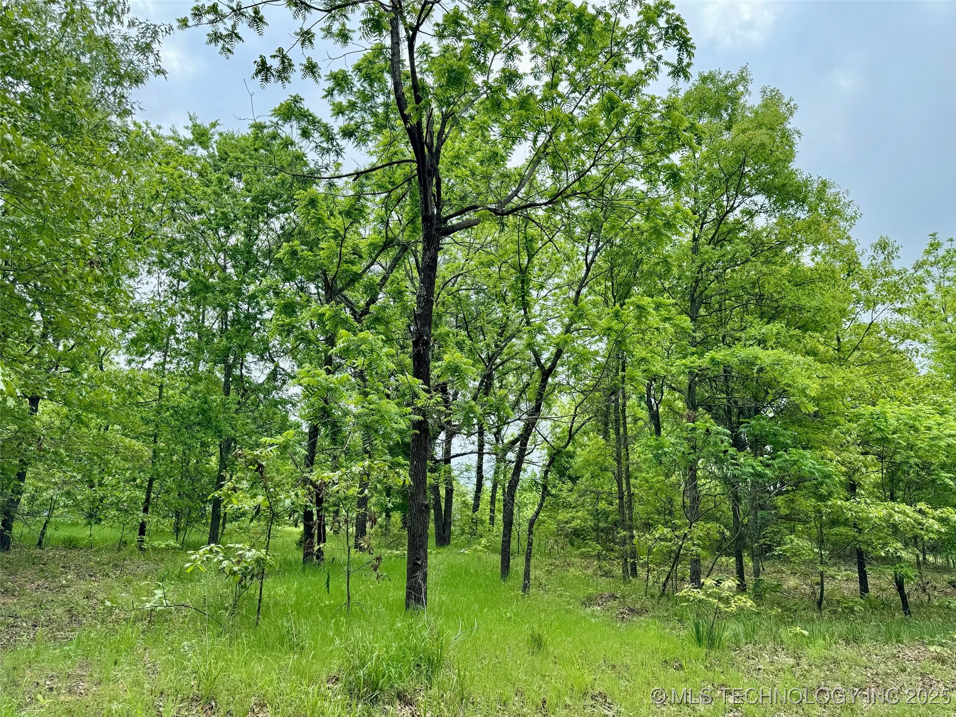 21179 E Standridge Property Photo 18
