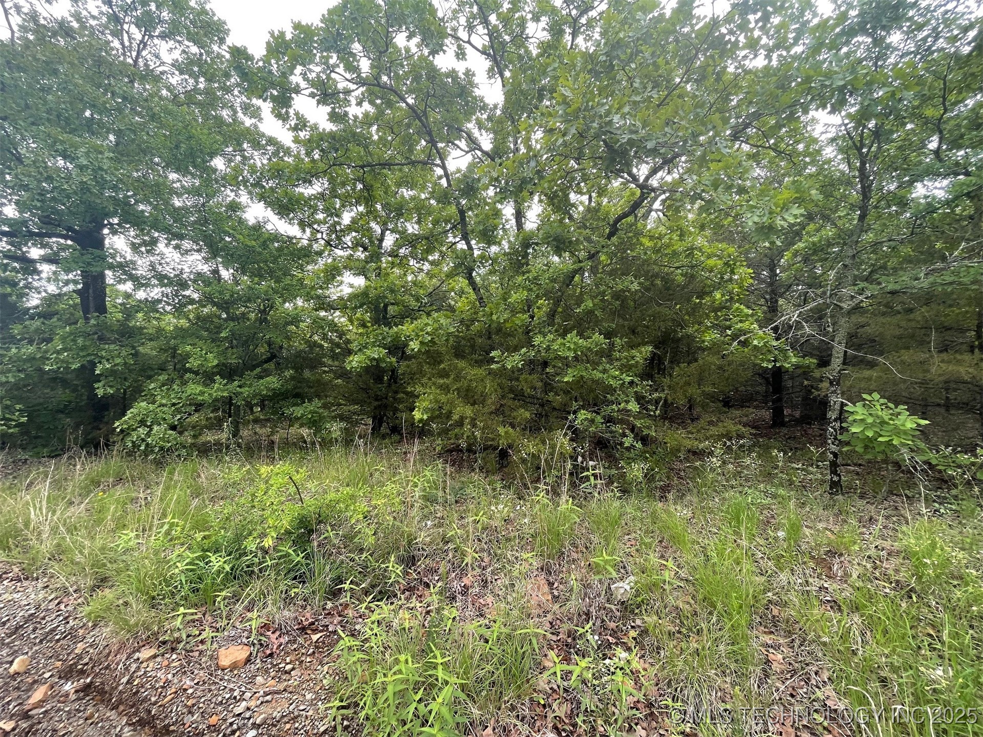 Bus Loop Road Property Photo 9