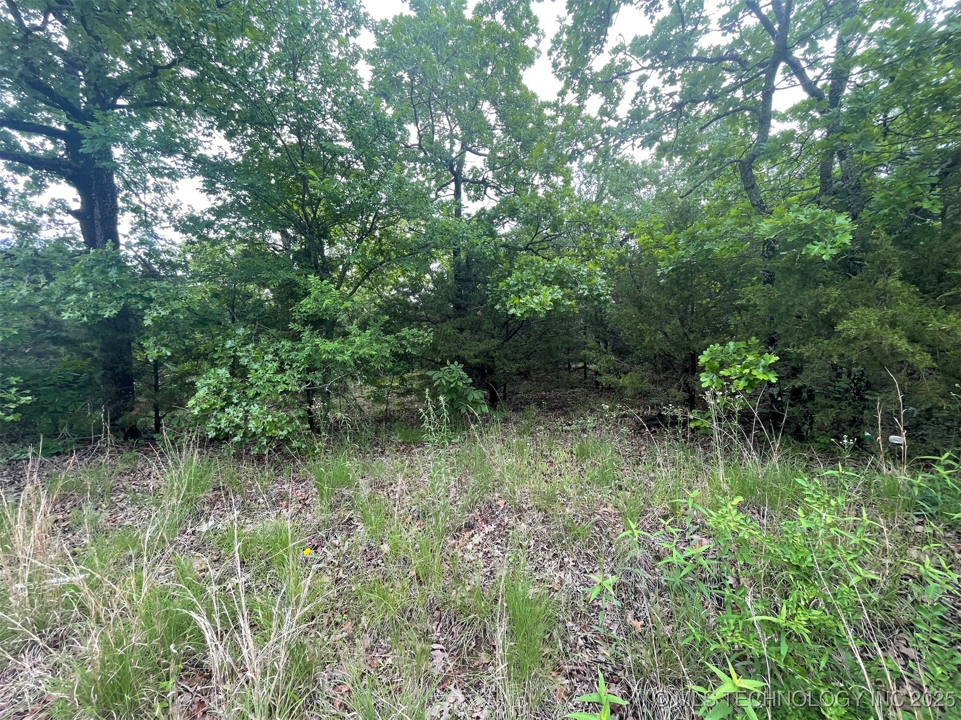 Bus Loop Road Property Photo 11