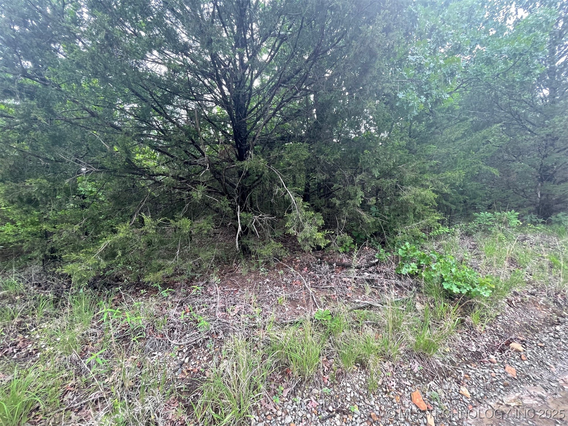 Bus Loop Road Property Photo 8