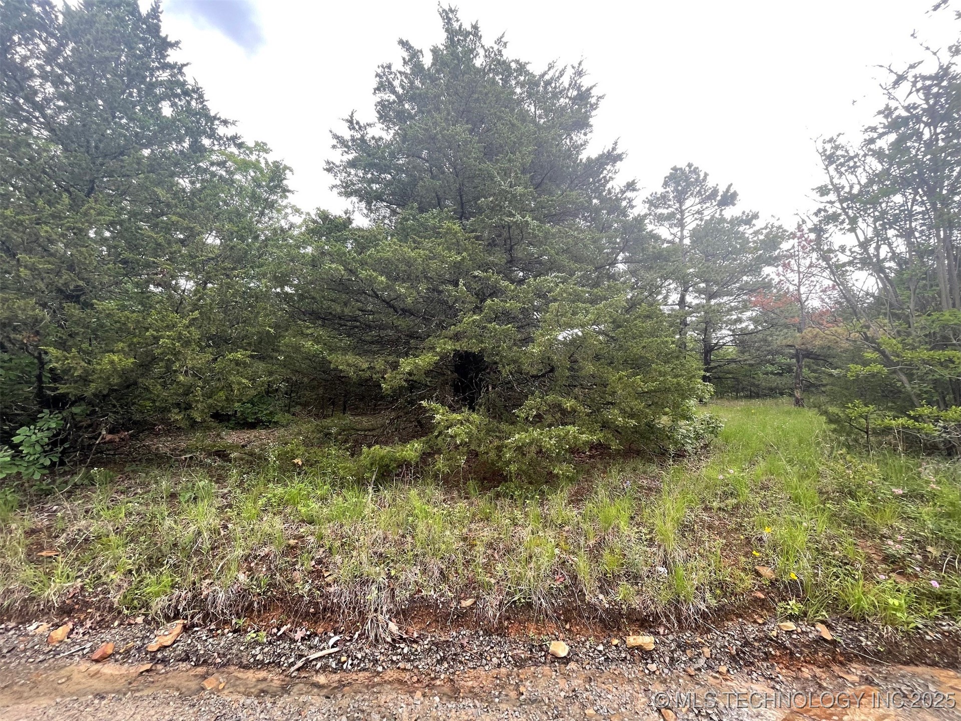 Bus Loop Road Property Photo 10