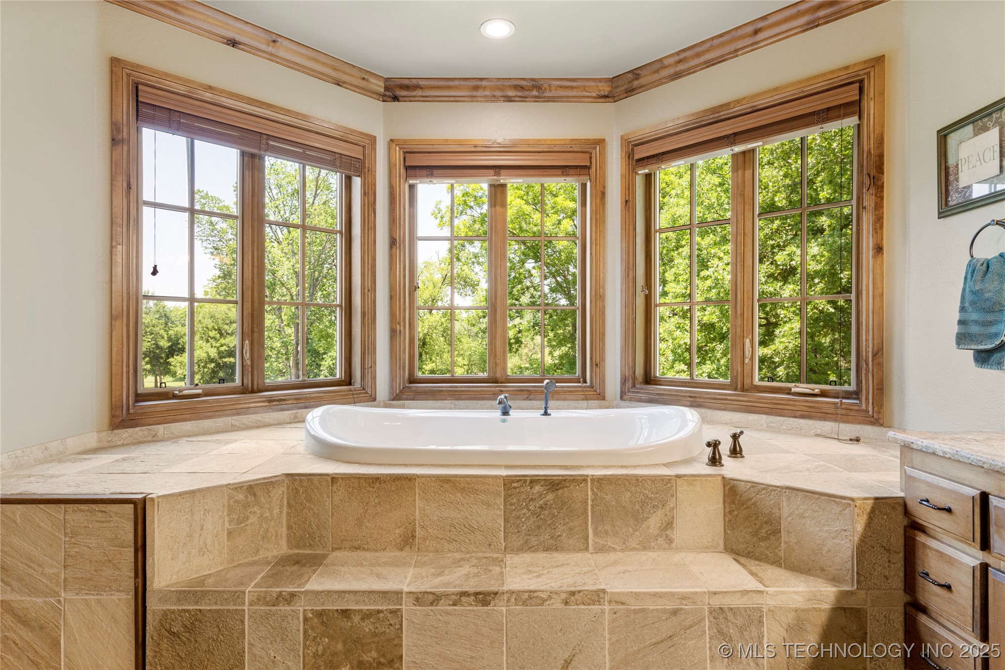 1211 N Cimarron Hill Property Photo 25