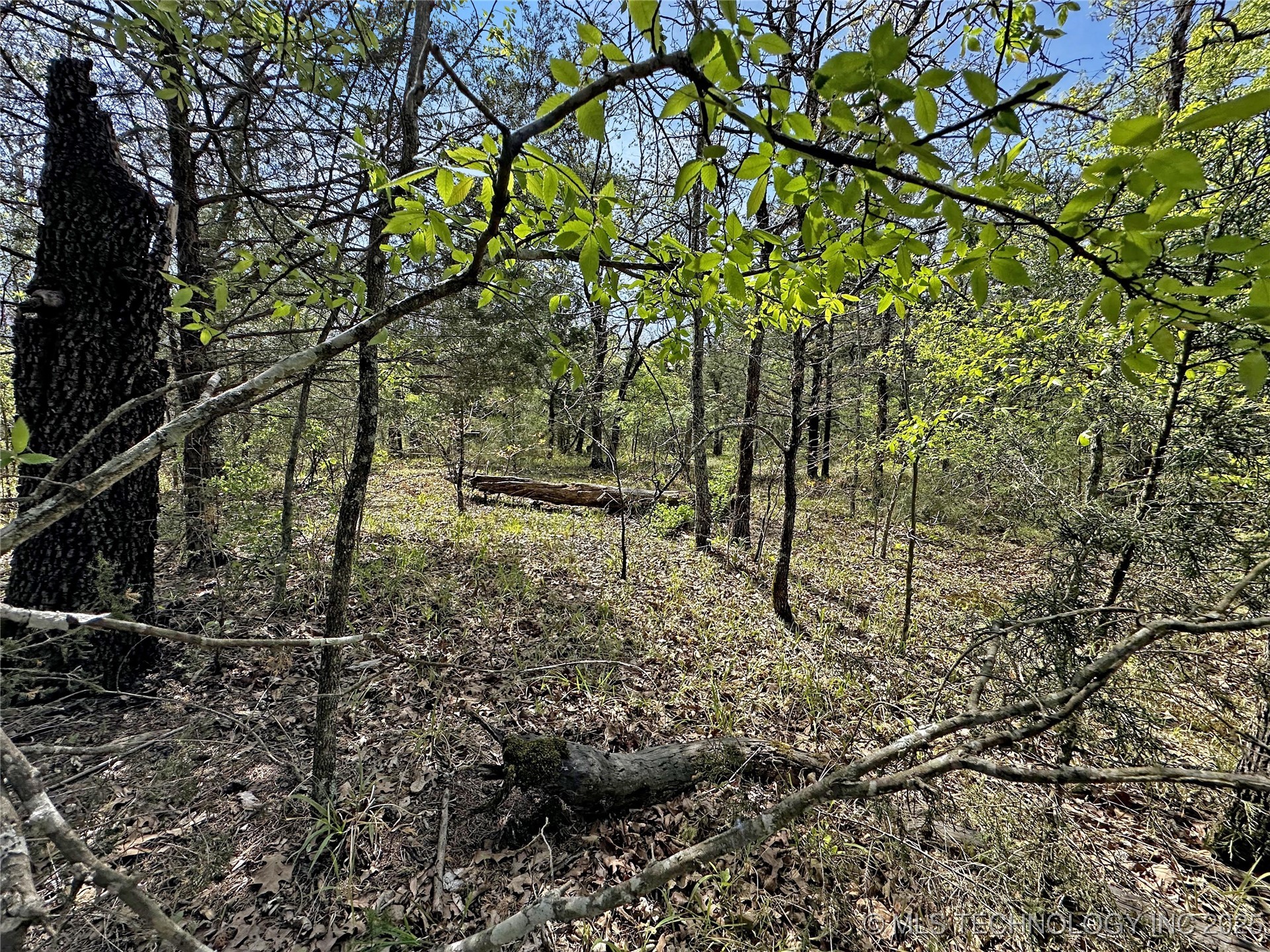 000 E 1620 Road Property Photo 3