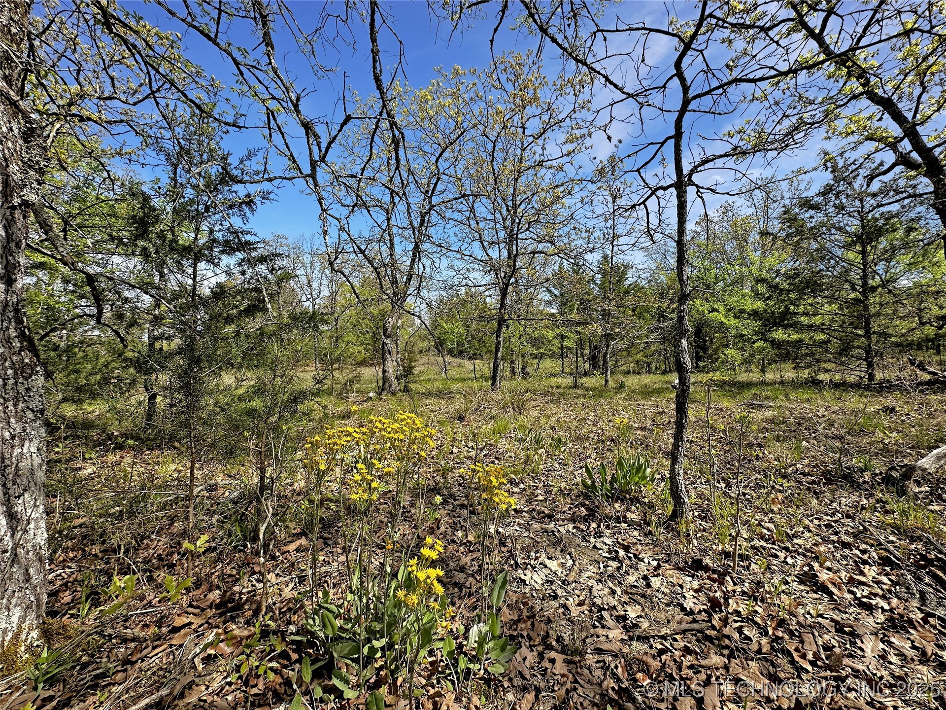 000 E 1620 Road Property Photo 11