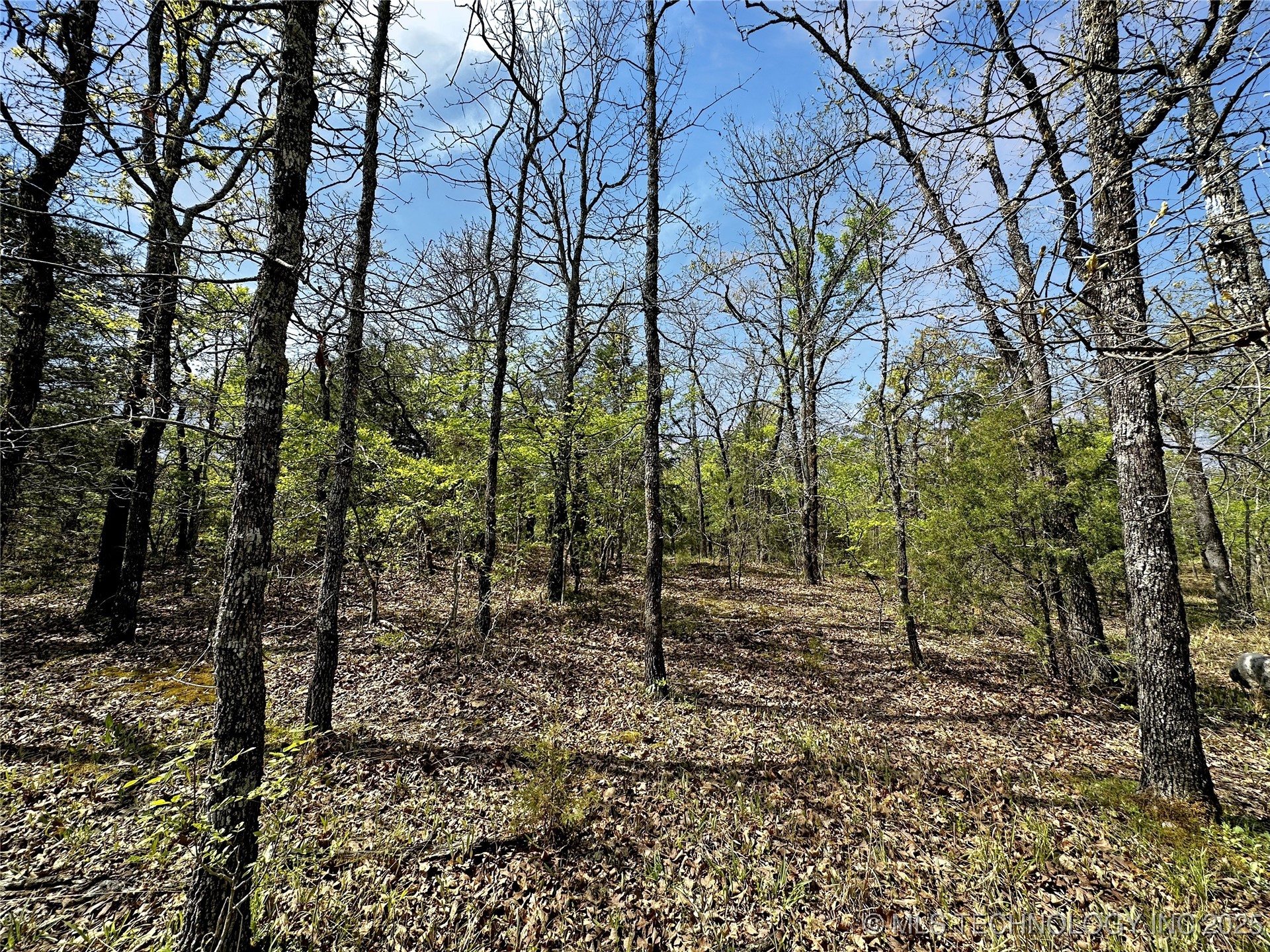 000 E 1620 Road Property Photo 15